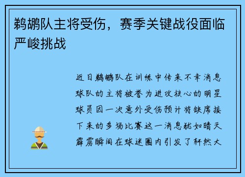 鹈鹕队主将受伤，赛季关键战役面临严峻挑战